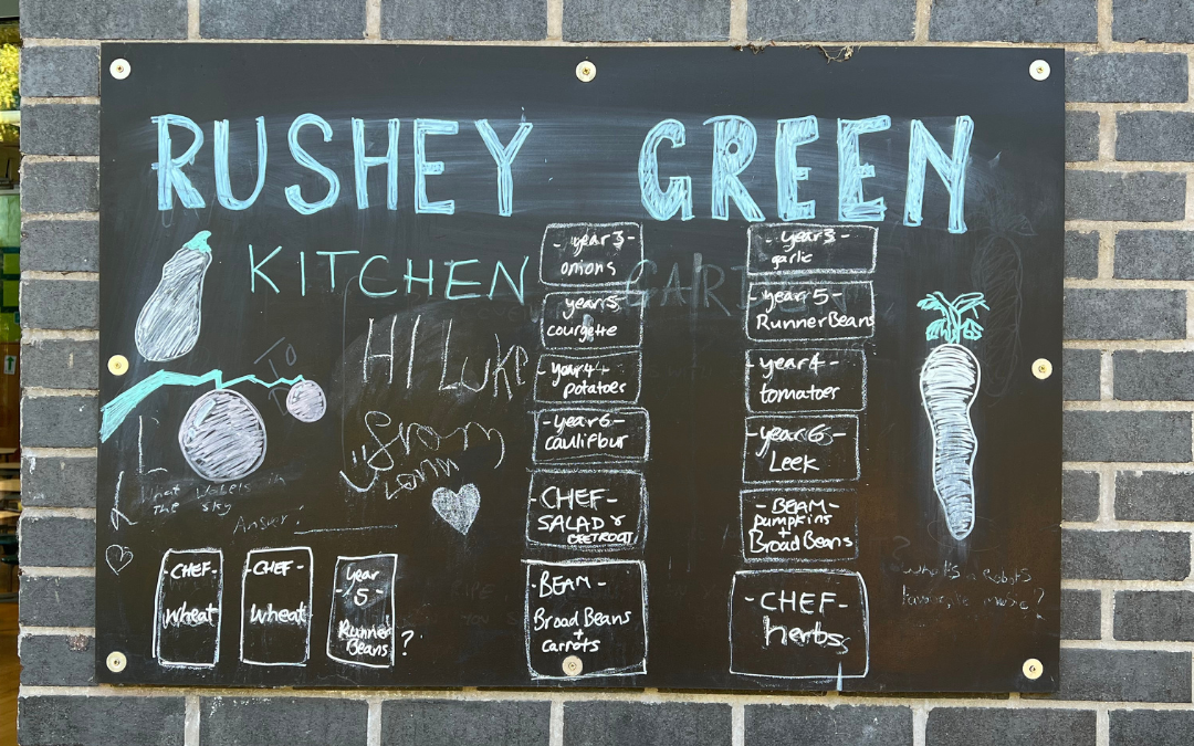 Rushey Green Primary, Lewisham