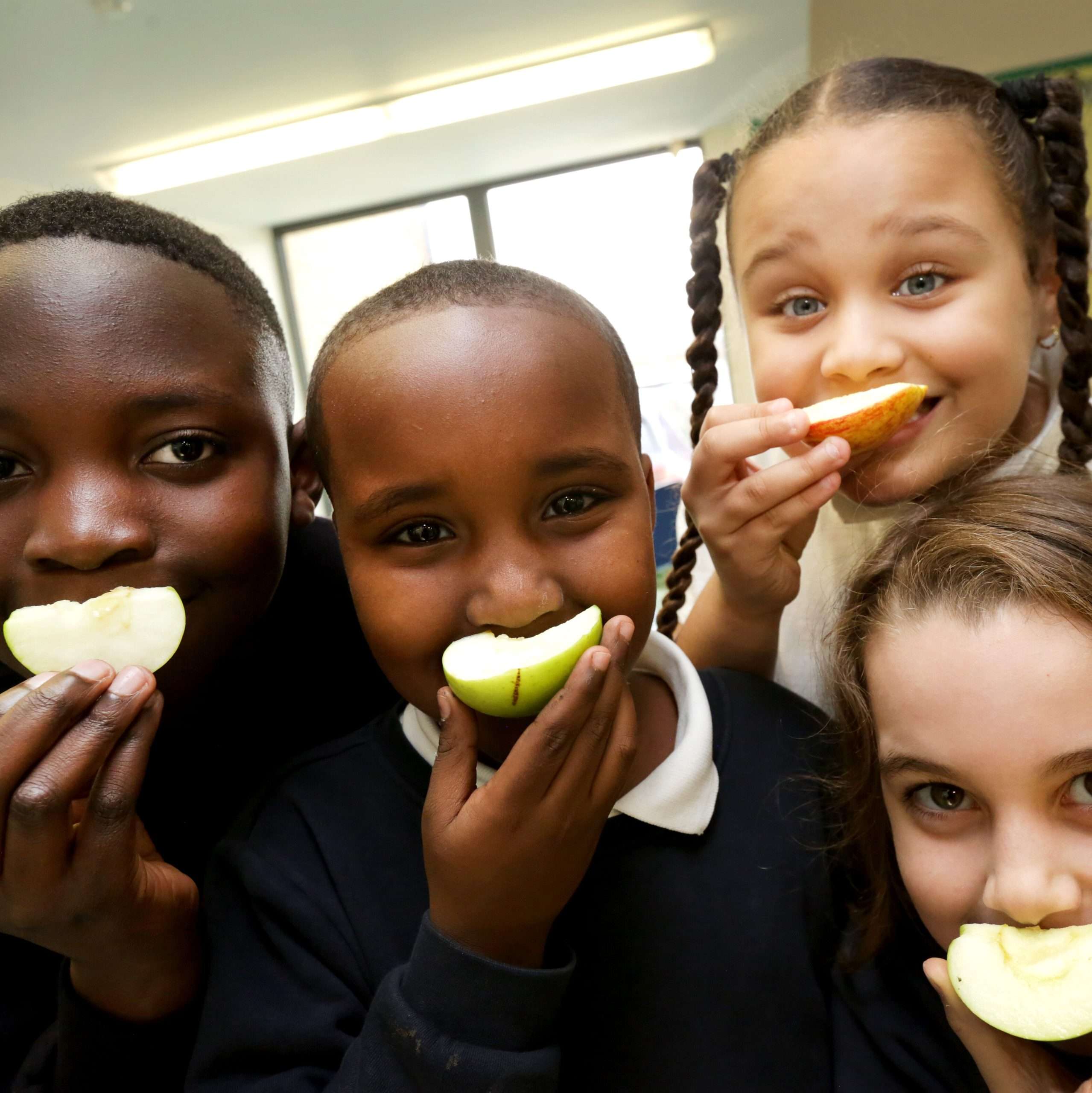 Cornwall Introduces Auto-enrolment for Free School Meals